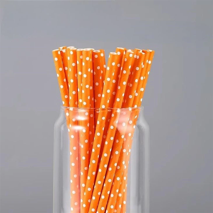 Polka Dot Straw